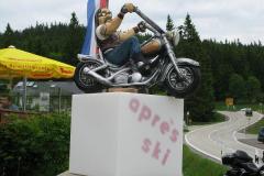 Bayerwald_26