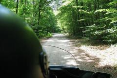 Bayerwald_36