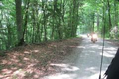 Bayerwald_37