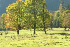 Ausfahrten_33