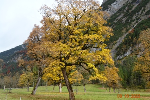Sonntagsfahrt-Gr.-Ahornboden-09.10-15