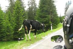 Dolomiten_46