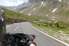 Dolomiten_55