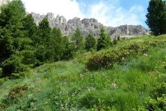 Dolomiten_08