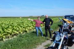 Elsass_07