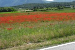 Gardasee_39