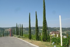 Grandes_Alpes_31