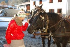 Jahresabschluss_15