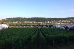 Ruedesheim_16