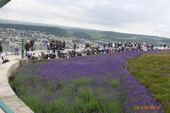 Ruedesheim_39
