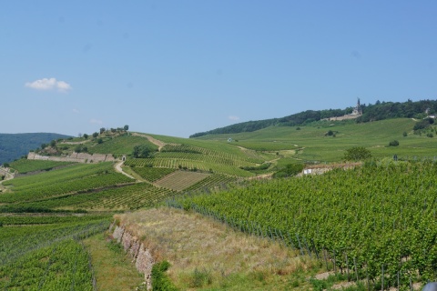 DSC03989