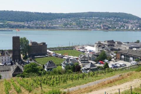DSC03991