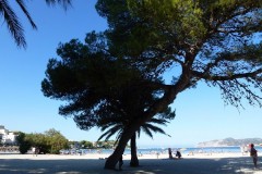 Mallorca_48