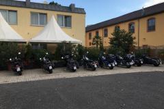Mosel_10