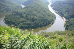 Mosel_37