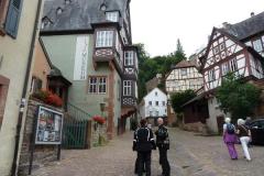 Odenwald_23