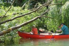 Pegnitz_32