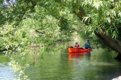 Pegnitz_35