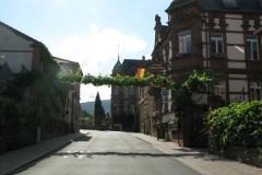 Pfalz_05