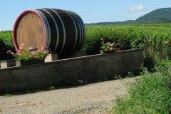 Pfalz_17