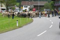 Piemont_2_10