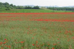 Piemont_36