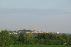 IMG_3929