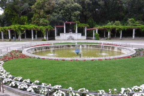 Ragogna-2015-61