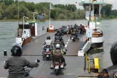 Riverdance_19