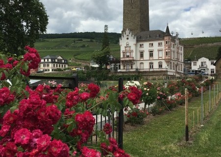 Ruedesheim-2017-13