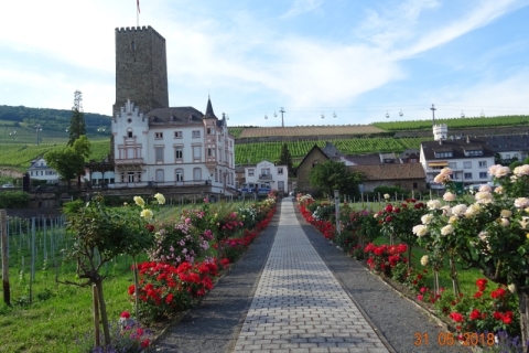 Rüdesheim 2018  vom 31.05. - 03.06.18  zur Magic Bike18