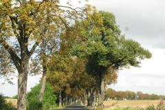 Ruegen_22
