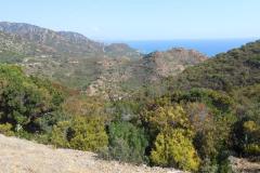 Sardinien_06