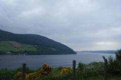 Schottland_22