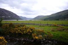 Schottland_47
