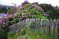 Schottland_48
