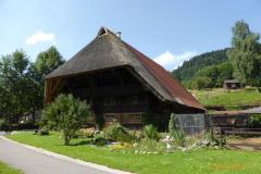 Schwarzwald_21