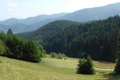 Schwarzwald_22