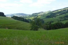 Schwarzwald_32