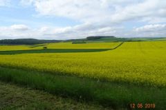 normal_Spessart_17