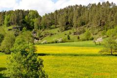 Thueringen_23