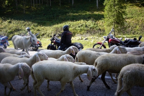 Trentino-2017-10