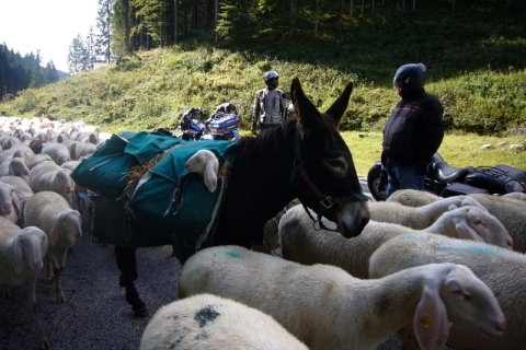 Trentino-2017-11