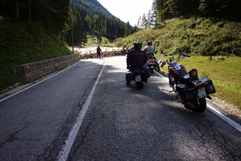 Trentino-2017-8