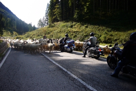 Trentino-2017-9
