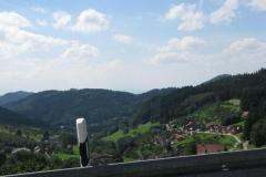 Vogesen_07
